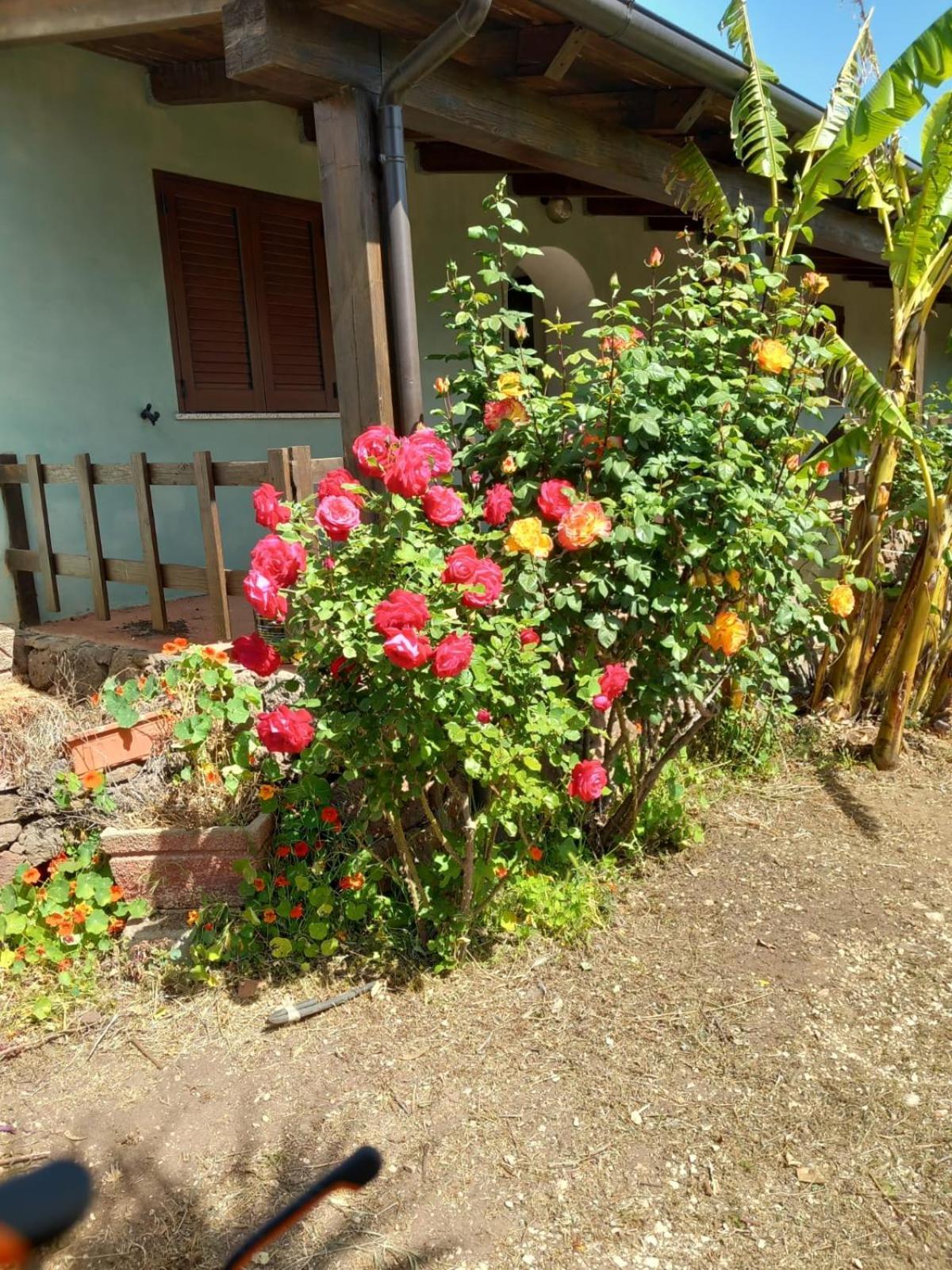 Agriturismo Su Tiresi Cala Gonone Exterior foto