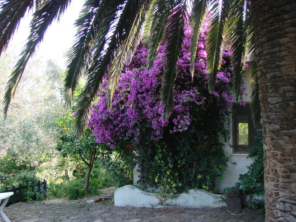 Agriturismo Su Tiresi Cala Gonone Exterior foto