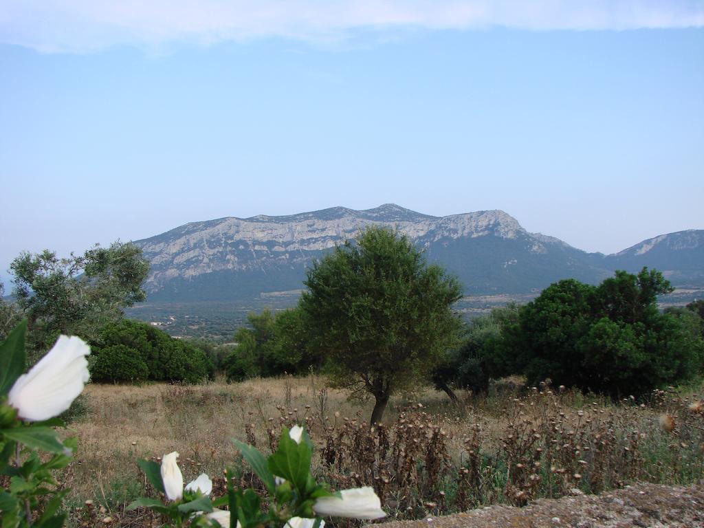 Agriturismo Su Tiresi Cala Gonone Exterior foto